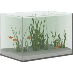 vidaXL Aquarium avec stockage Transparent 30 x 20 x 20 cm Verre