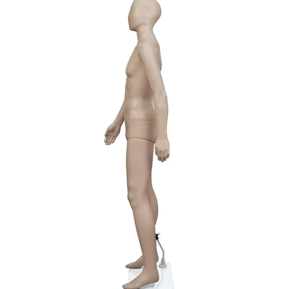 vidaXL Mannequin de vitrine Homme Tête ronde