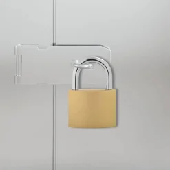 vidaXL U Lock avec Clés 100 pcs Laiton Fer