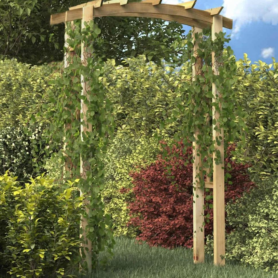vidaXL Voûte en treillis 150x60x210 cm Bois